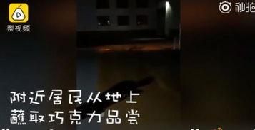 巧克力最新爆料视频在线观看,幕后真相大公开! 第1张 巧克力最新爆料视频在线观看,幕后真相大公开! 第1张