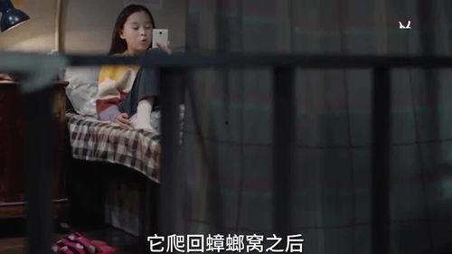 爆料娱乐姐姐视频,笑料百出，欢乐无限
