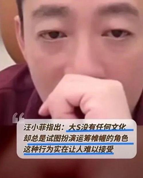 张兰爆料孙子视频大全播放,揭秘豪门家族温馨瞬间 第2张 张兰爆料孙子视频大全播放,揭秘豪门家族温馨瞬间 第2张