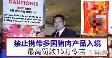 印尼猪瘟最新爆料图片,最新爆料图片揭示严峻形势