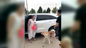 娱乐爆料的牛人有哪些人,揭秘那些令人惊叹的牛人人生传奇 第3张 娱乐爆料的牛人有哪些人,揭秘那些令人惊叹的牛人人生传奇 第3张