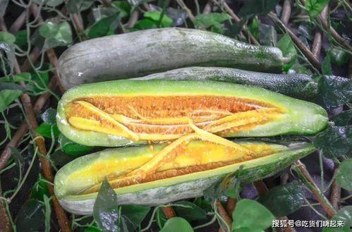 定远网红吃瓜,揭秘背后真相与网络舆论风暴 第3张 定远网红吃瓜,揭秘背后真相与网络舆论风暴 第3张
