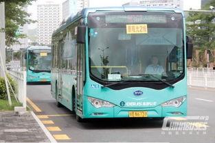 通州公交车爆料新闻报道,揭秘公交运营背后的故事 第3张 通州公交车爆料新闻报道,揭秘公交运营背后的故事 第3张