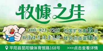 平阳新闻爆料,最新爆料揭示事件真相 第2张 平阳新闻爆料,最新爆料揭示事件真相 第2张