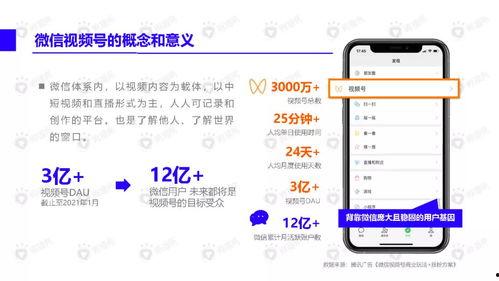 雪王最新爆料视频下载,揭秘神秘事件背后的真相 第3张 雪王最新爆料视频下载,揭秘神秘事件背后的真相 第3张