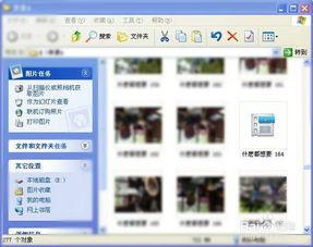 热点爆料视频如何拍照,一图览尽事件全貌 第3张 热点爆料视频如何拍照,一图览尽事件全貌 第3张