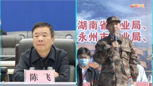 陈飞爆料视频大全最新一期,一期精彩内容大盘点