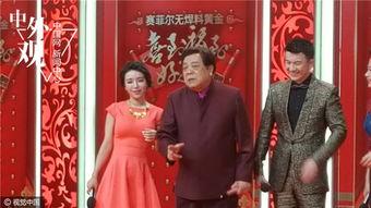 2017春晚在线观看,在线观看热潮下的全民狂欢 第3张 2017春晚在线观看,在线观看热潮下的全民狂欢 第3张