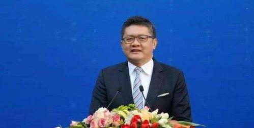 张斌妻子发布会爆料视频,真相令人震惊