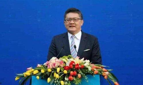 张斌妻子发布会爆料视频,真相令人震惊 第3张 张斌妻子发布会爆料视频,真相令人震惊 第3张