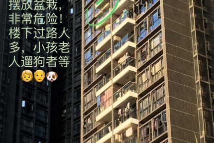怀化租房爆料平台官网最新,最新房源信息汇总，揭秘租房陷阱与攻略！