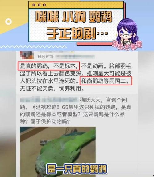 最新爆料珍爱生命,揭秘最新爆料背后的警示与反思 第3张 最新爆料珍爱生命,揭秘最新爆料背后的警示与反思 第3张
