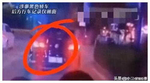 山东新学生爆料视频大全,校园生活瞬间回顾 第3张 山东新学生爆料视频大全,校园生活瞬间回顾 第3张