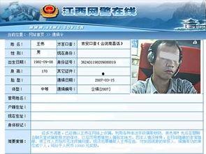 王先生爆料解说视频下载,解说视频下载全攻略