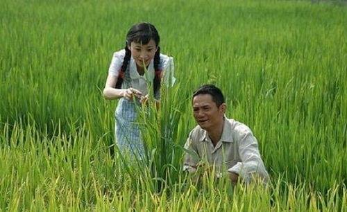 国外爆料袁隆平视频,揭秘杂交水稻传奇背后的故事 第2张 国外爆料袁隆平视频,揭秘杂交水稻传奇背后的故事 第2张