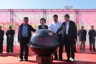 武邑爆料最新新闻事件,惊曝重大事件引发社会关注 第2张 武邑爆料最新新闻事件,惊曝重大事件引发社会关注 第2张