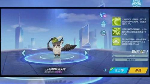 猫头鹰宠物爆料视频,神秘生物的日常生活曝光 第1张 猫头鹰宠物爆料视频,神秘生物的日常生活曝光 第1张