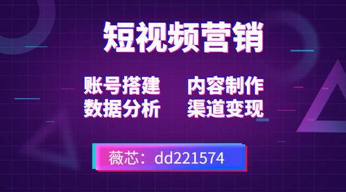 短视频创业热点爆料新手,新手如何抓住短视频创业热点实现财富增长  第2张