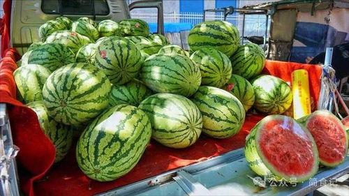 青州网红吃瓜事件真相,真相背后的网络风波 第2张 青州网红吃瓜事件真相,真相背后的网络风波 第2张