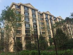 枫丹实景爆料最新消息今天,今日热点聚焦