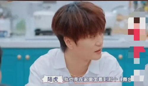 陆虎苏醒爆料视频,娱乐圈背后的惊人真相 第2张 陆虎苏醒爆料视频,娱乐圈背后的惊人真相 第2张