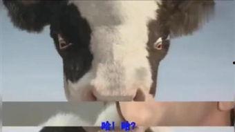 昆在线观看,穿越时空的昆曲之旅 第2张 昆在线观看,穿越时空的昆曲之旅 第2张