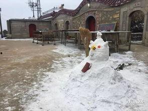 哈尔滨下雪爆料视频最新,冬日浪漫瞬间走红网络  第2张