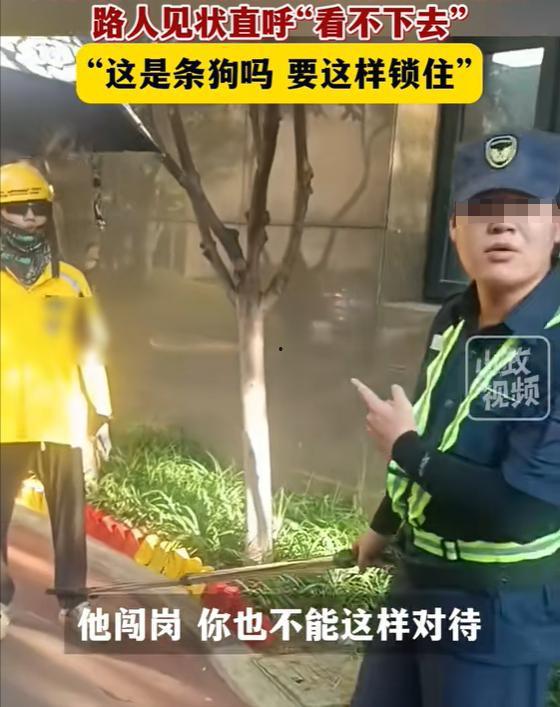 杭州保安后续网友爆料视频,网友爆料视频揭示惊人真相