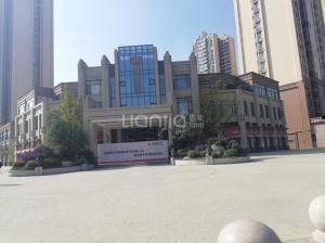 成都碧桂园爆料最新消息,揭秘项目进展与未来规划  第3张