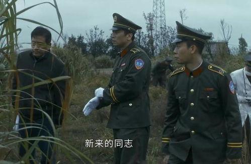 王庄爆料二虎是谁啊视频,二虎究竟是谁？  第3张