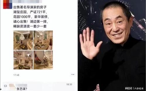 张艺谋大舅哥爆料视频,导演背后的家庭故事与幕后真相  第3张