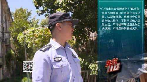 郏县辅警最新爆料消息,揭秘背后真相与内幕  第3张