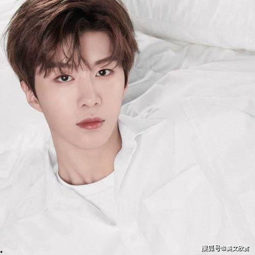 范丞丞爆料信息最新消息,揭秘娱乐圈不为人知的幕后真相