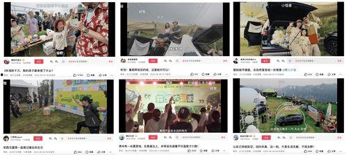 冠县受骗爆料视频大全集,揭秘网络诈骗背后的真相 第2张 冠县受骗爆料视频大全集,揭秘网络诈骗背后的真相 第2张