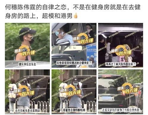 肖战杨紫路人爆料视频,甜蜜互动引网友热议