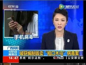 央视爆料孟阳案件视频,揭开金融诈骗黑幕  第2张