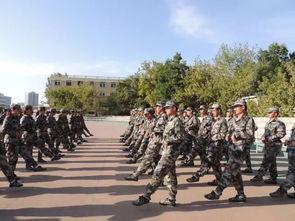 私人军训爆料视频,真实爆料视频背后的震撼画面  第2张