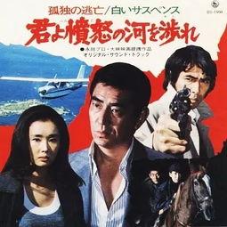 追捕1978在线观看,正义与邪恶的较量  第2张