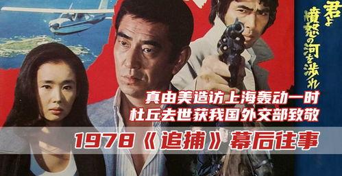 追捕1978在线观看,正义与邪恶的较量  第3张