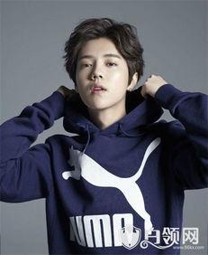 圈内扒爷爆料鹿晗小说,娱乐圈的逆袭之路——扒爷独家揭秘