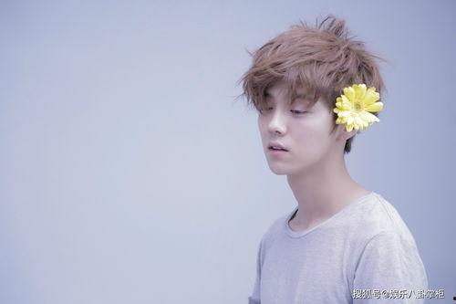 圈内扒爷爆料鹿晗小说,娱乐圈的逆袭之路——扒爷独家揭秘 第2张 圈内扒爷爆料鹿晗小说,娱乐圈的逆袭之路——扒爷独家揭秘 第2张