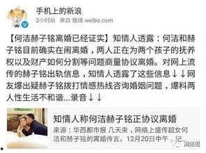 网友爆料离婚案件最新,豪门恩怨，真相背后令人唏嘘  第3张