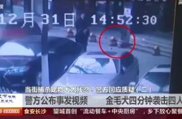 长沙事件爆料视频最新2020,揭秘背后真相与争议 第3张 长沙事件爆料视频最新2020,揭秘背后真相与争议 第3张