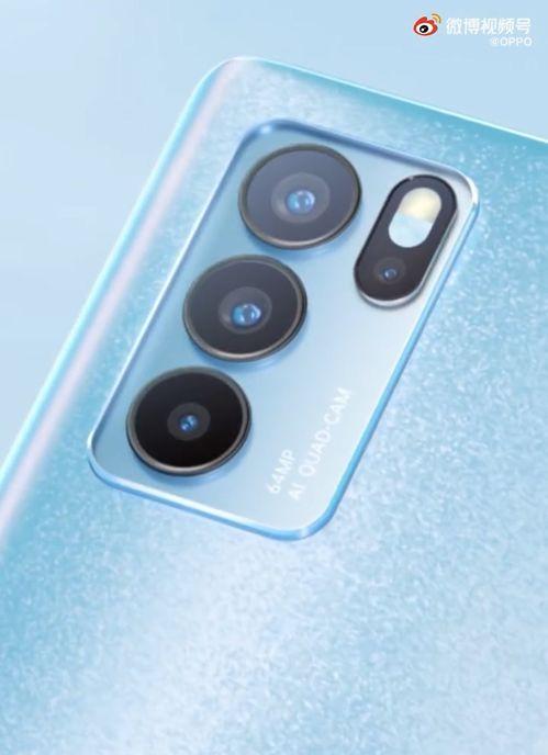 鱼神岛新成员爆料视频播放,独家爆料视频带你探秘神秘岛屿