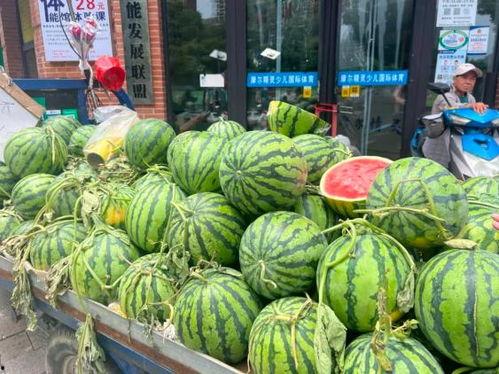 微信吃网红瓜群,网红瓜子的狂欢盛宴 第3张 微信吃网红瓜群,网红瓜子的狂欢盛宴 第3张