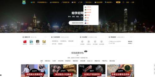 偶像爆料视频素材网站,热门视频素材网站大起底  第3张