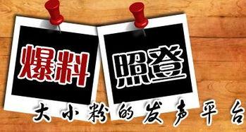 重庆爆料巫山今日新闻,重庆爆料今日热点聚焦  第2张