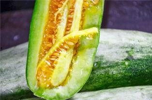 有免费吃网红瓜的网站吗,揭秘免费品尝网红瓜子的秘密网站  第3张