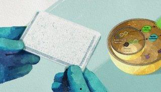 染色陈皮爆料方法视频教程,视频教程教你轻松掌握染色技巧 第3张 染色陈皮爆料方法视频教程,视频教程教你轻松掌握染色技巧 第3张