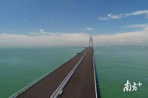 港珠澳大桥爆料视频大全,独家爆料视频大盘点 第2张 港珠澳大桥爆料视频大全,独家爆料视频大盘点 第2张